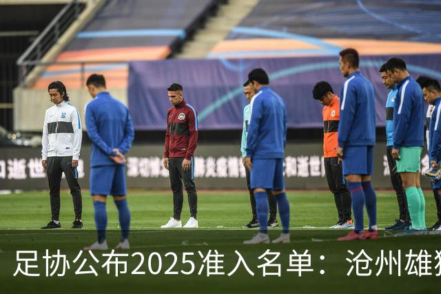 足协公布2025准入名单：沧州雄狮、广州队无缘